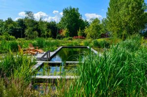 levendige tuin voorbeeld snoek puur groen