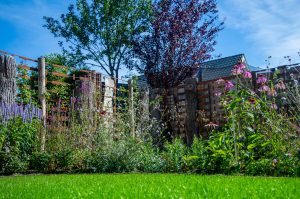 levendige tuin voorbeeld snoek puur groen