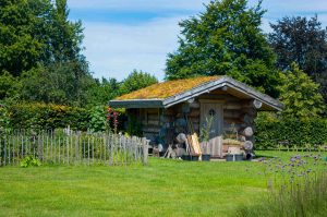 levendige tuin voorbeeld snoek puur groen