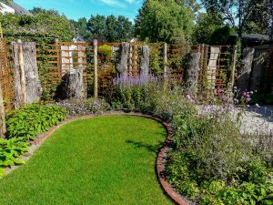 levendige tuin voorbeeld snoek puur groen