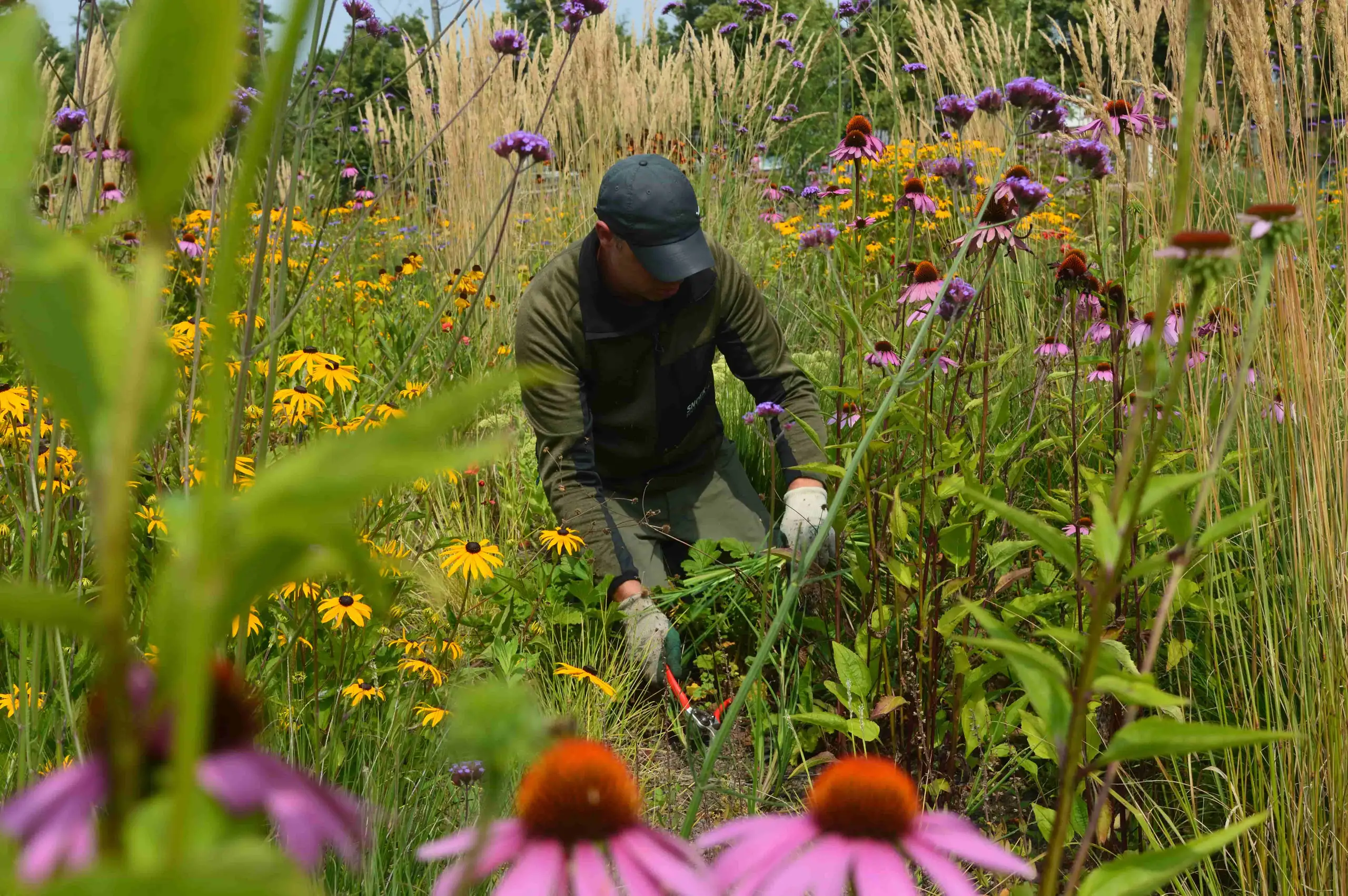 Hovenier in veld met grassen en bloemen die onderhoud doet aan deze tuin