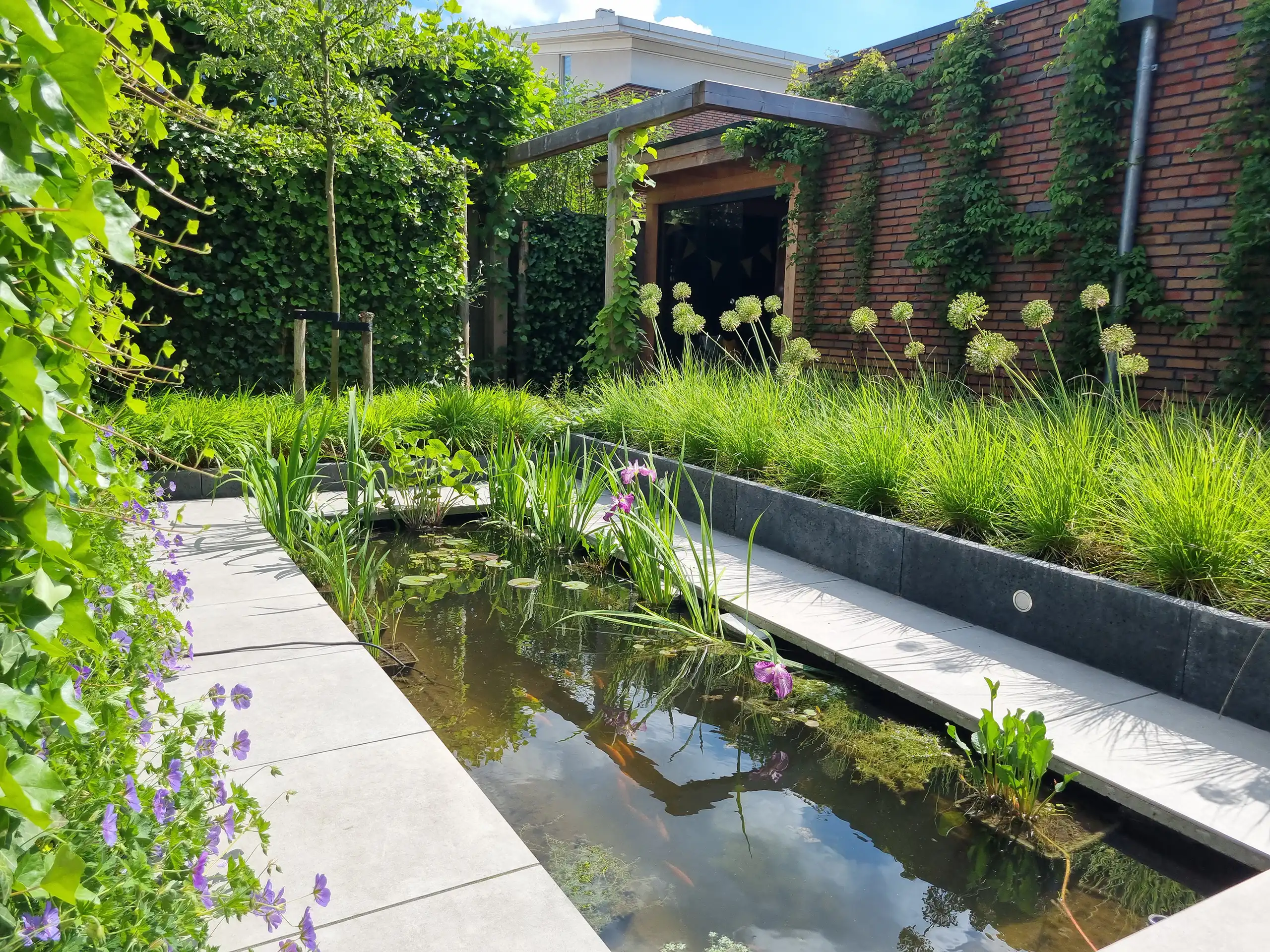 http://Vijver%20met%20betonnen%20rand%20afwerking%20met%20groene%20pergola%20en%20gevelgroen%20tegen%20muur