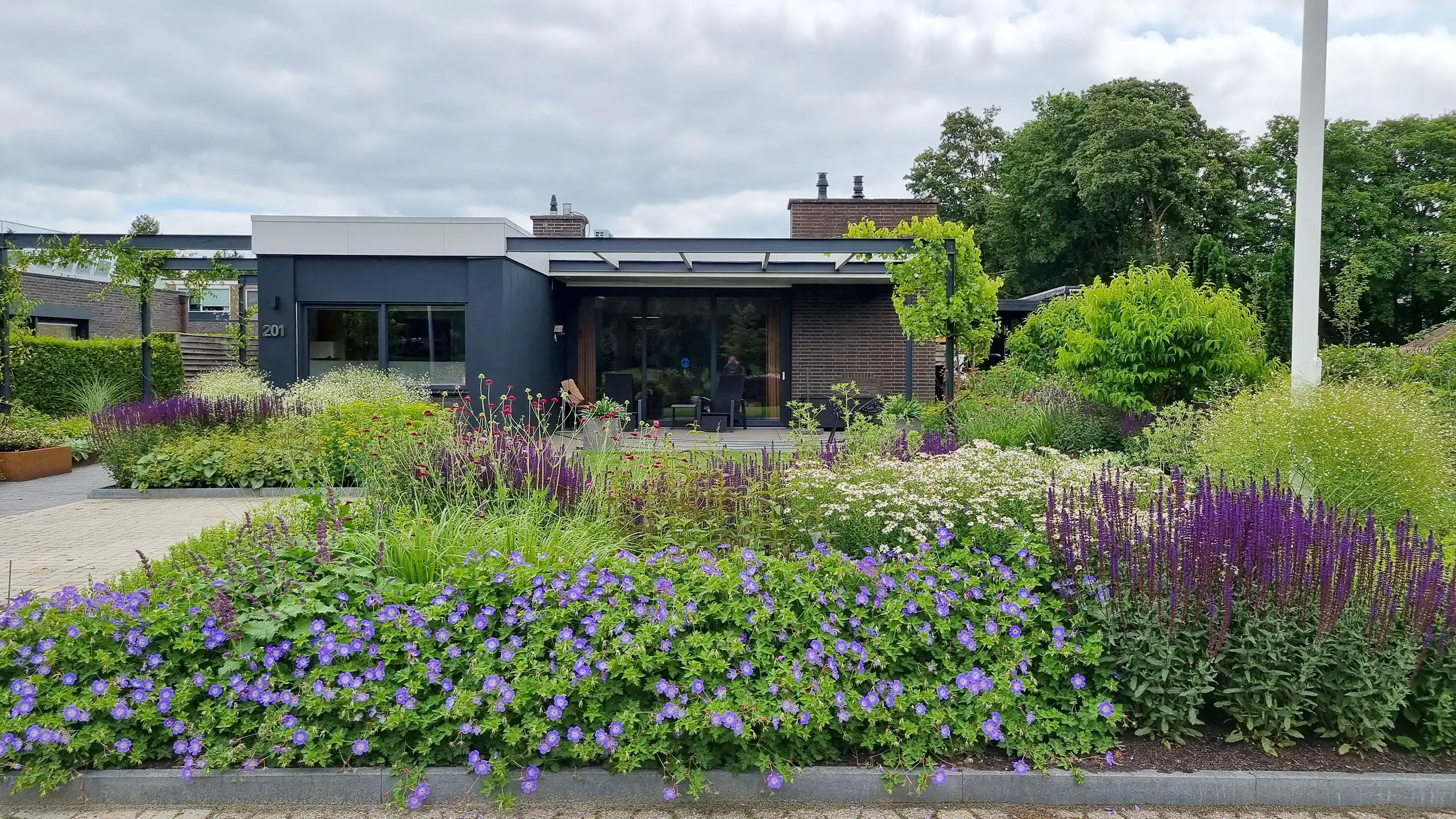 http://Voortuin%20met%20bungalow,%20vlaggenmast%20en%20oprit%20en%20paarse%20bloemen
