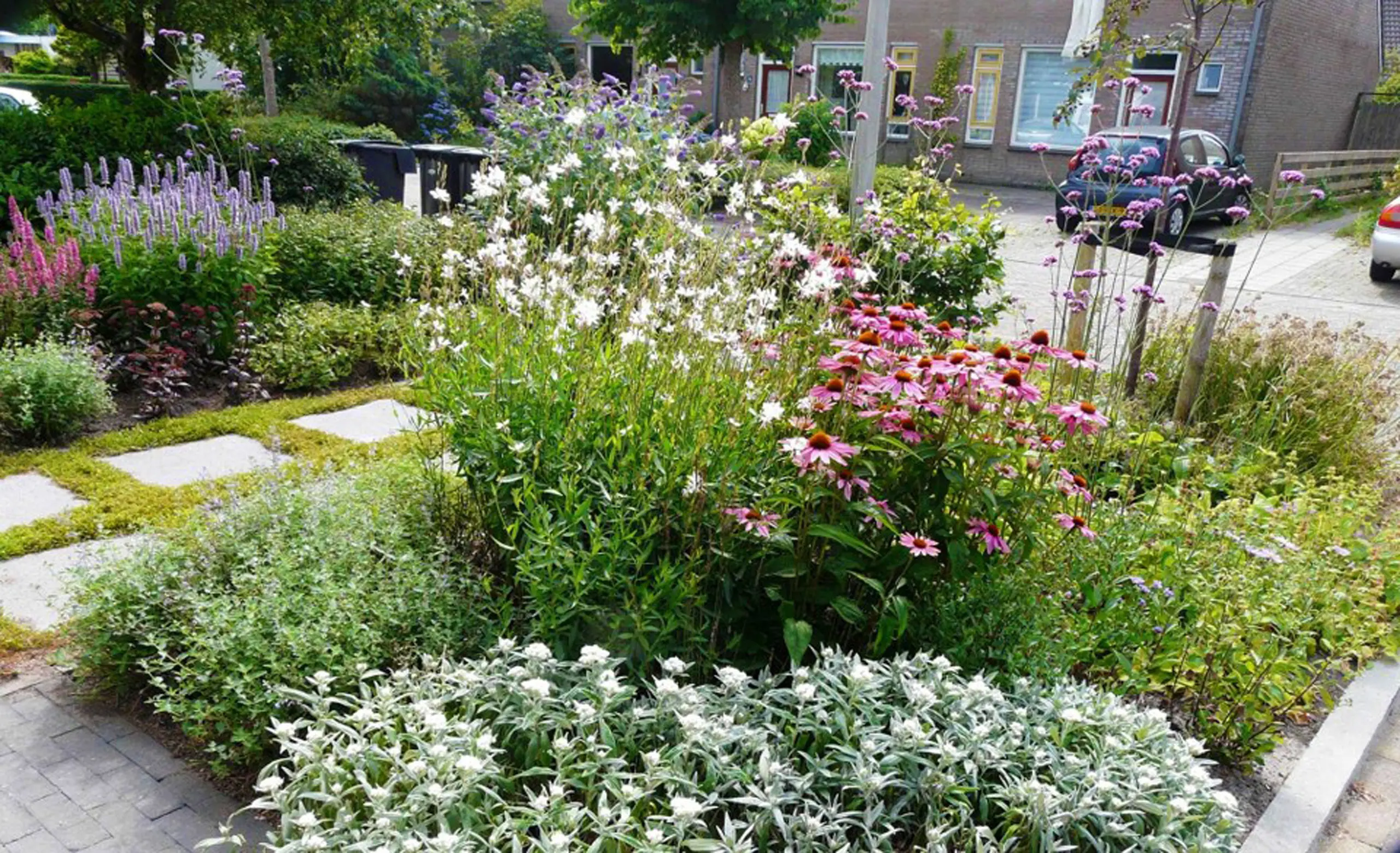 http://Hoge%20planten%20in%20border%20in%20voortuin%20langs%20straat