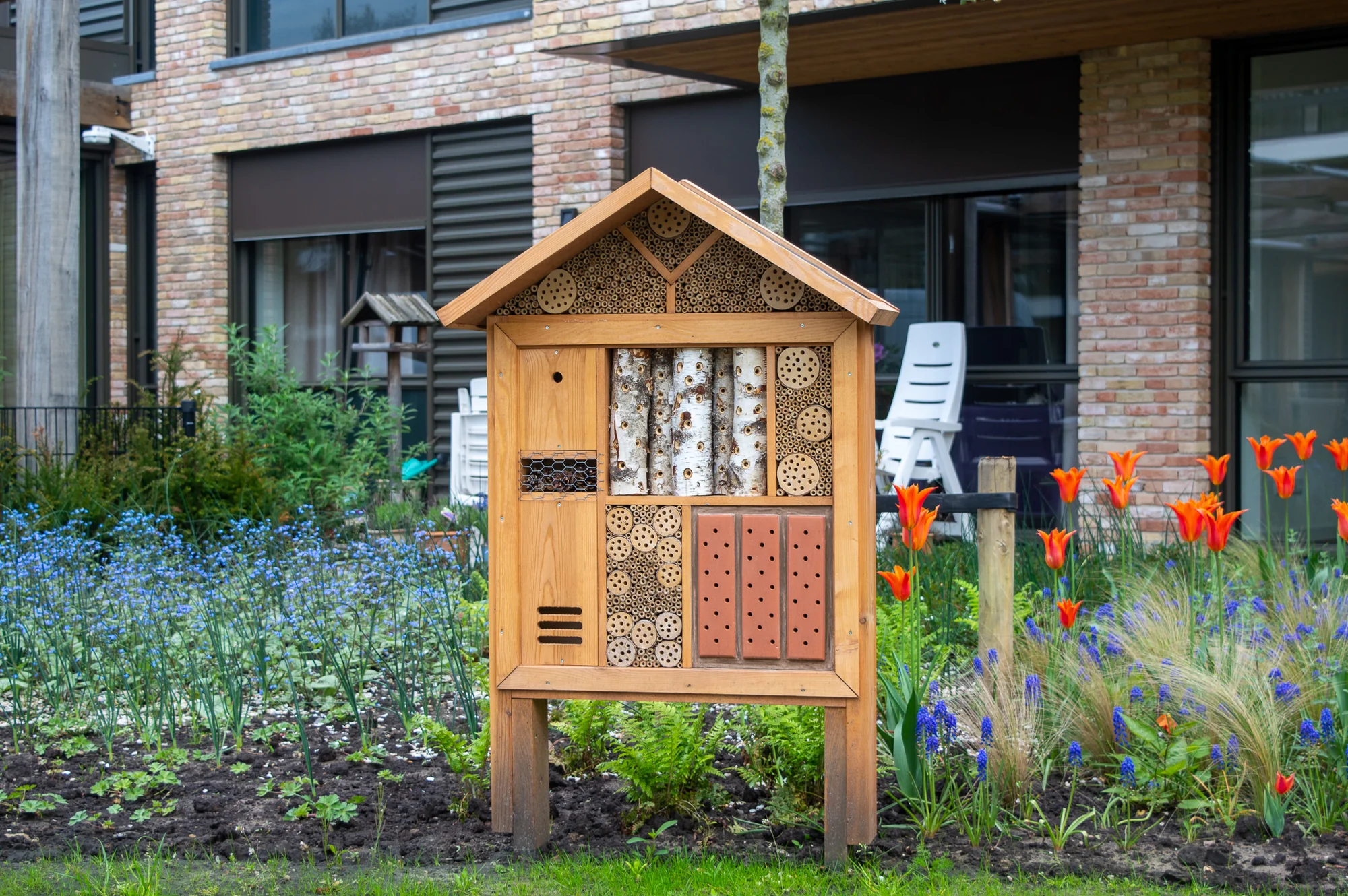 Insectenhotel tussen bloeiende tulpen en blauwe druifjes, met een appartementengebouw op de achtergrond.